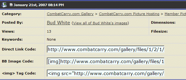Info' displayed under a full size gallery picture