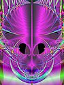 Plethorapix Image